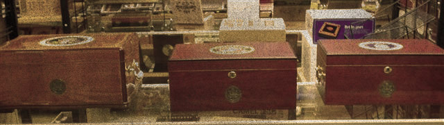 display of 3 premium humidors